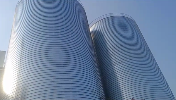 萨尔图2座混凝土高架卷板仓